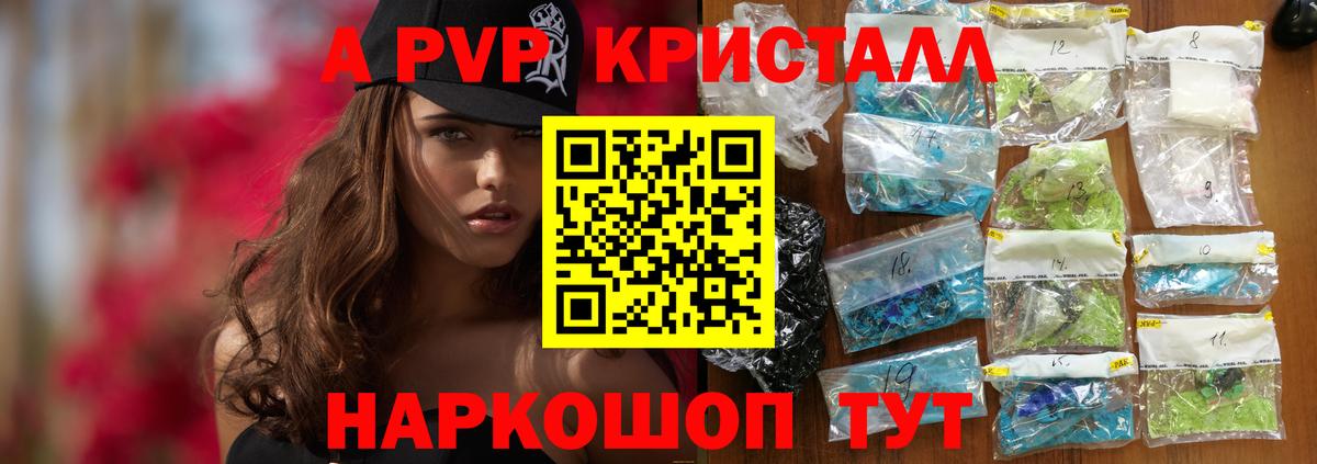 A PVP СК Энгельс