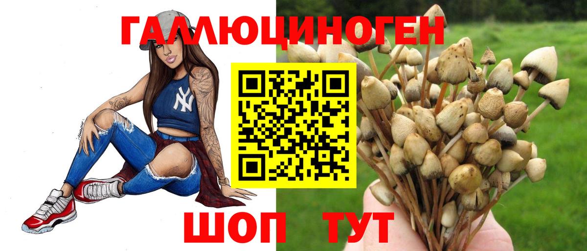 Псилоцибиновые грибы Psilocybe Энгельс