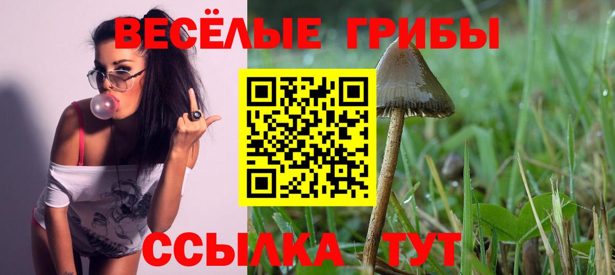 Галлюциногенные грибы Psilocybine cubensis  Псилоцибиновые грибы ЛСД  Энгельс  Вход с VPN 