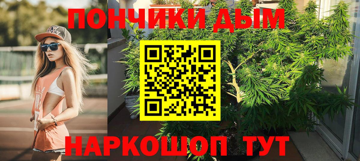 Каннабис марихуана Энгельс